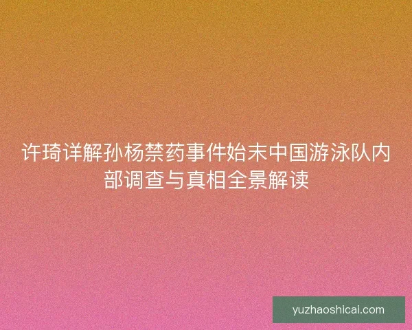 许琦详解孙杨禁药事件始末中国游泳队内部调查与真相全景解读