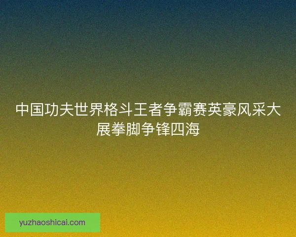 中国功夫世界格斗王者争霸赛英豪风采大展拳脚争锋四海